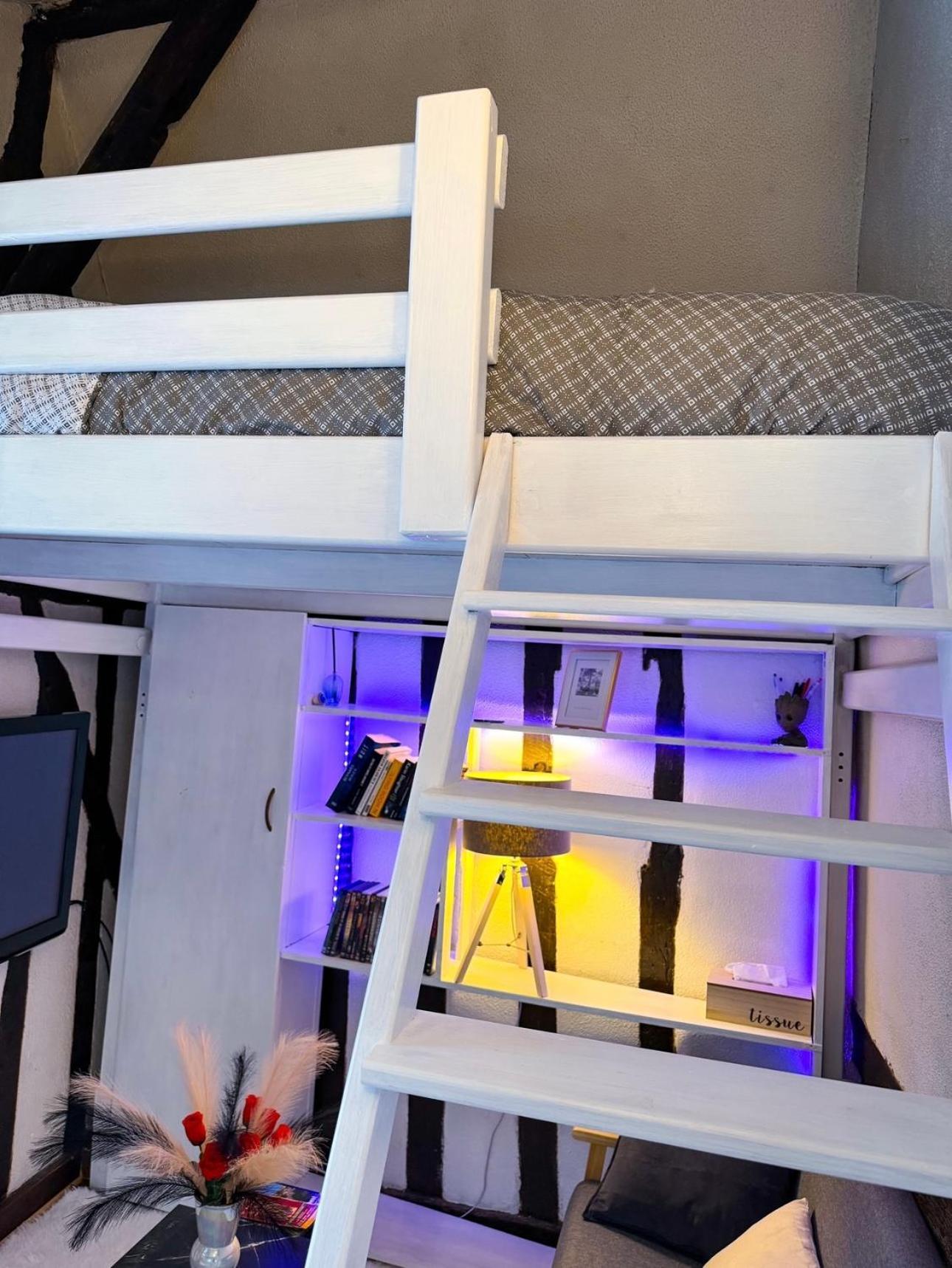 Le Cocon Urbain Apartment Chartres